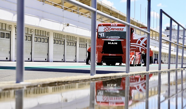 在逆境中毫 在逆境中毫