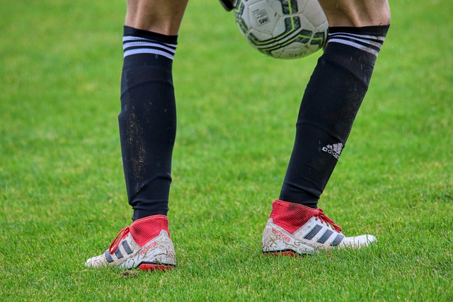 动所凝聚的 动所凝聚的