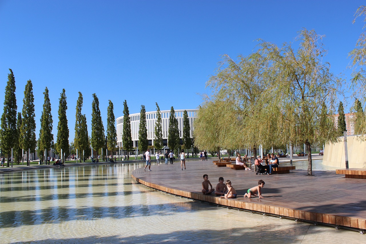 球迷与运动 球迷与运动