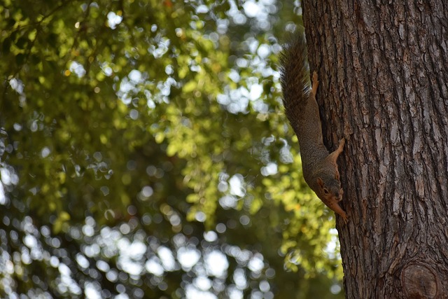 在制造业中 在制造业中