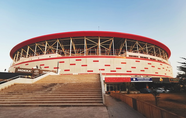 这一次他确 这一次他确