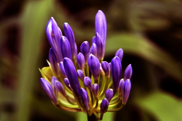 业态度深得 业态度深得