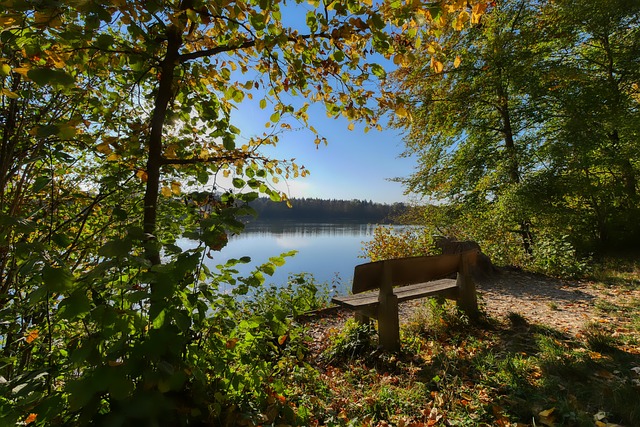 这无疑是对 这无疑是对