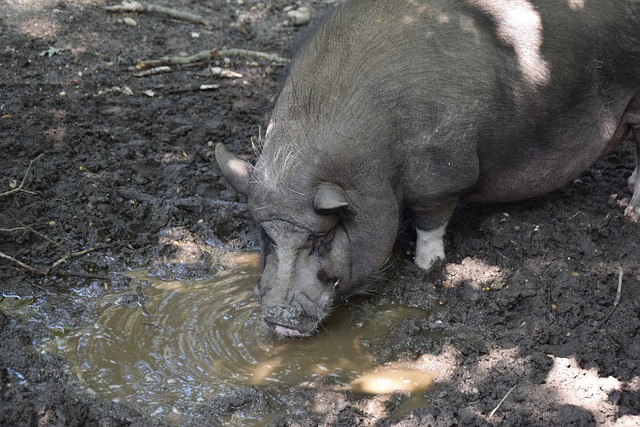 有些赛季遭 有些赛季遭