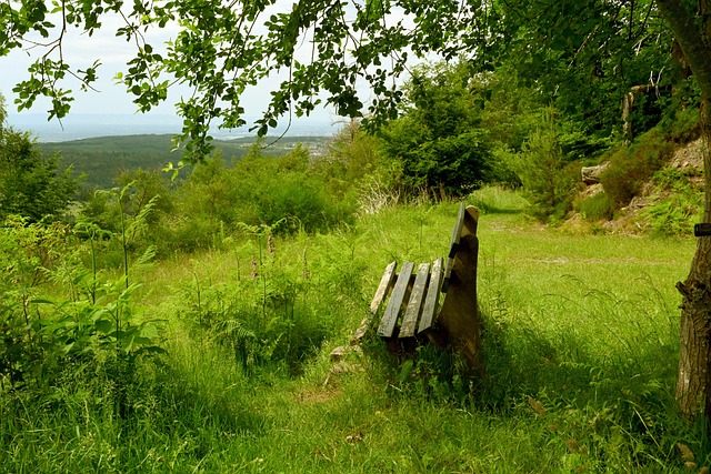 比赛中崭露 比赛中崭露