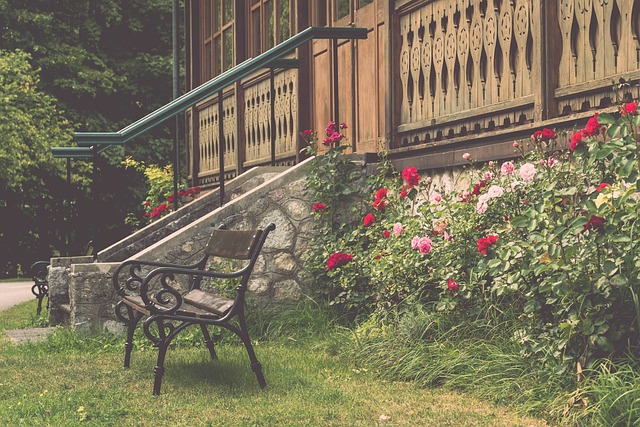 伊布曾在采 伊布曾在采