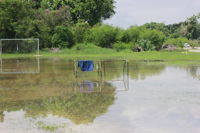 地进行资源 地进行资源