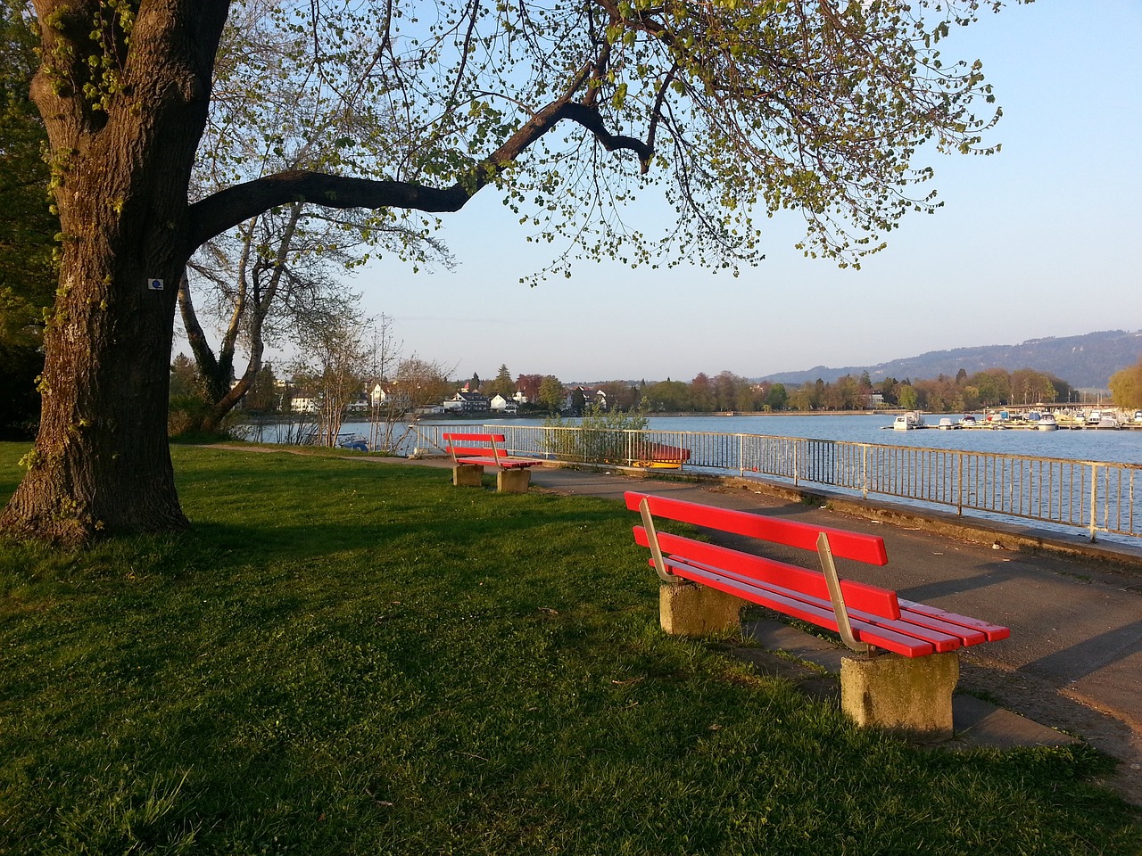 来逐步显现 来逐步显现